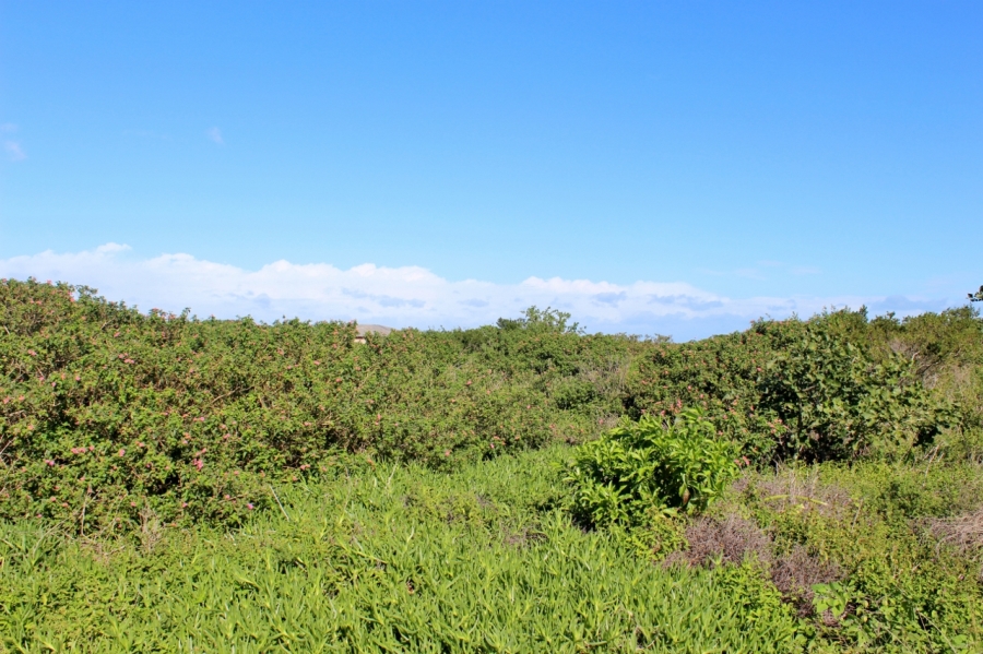 0 Bedroom Property for Sale in Forest Downs Eastern Cape